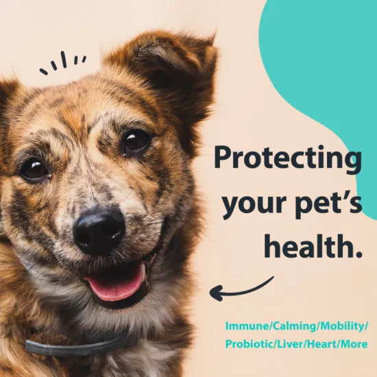 Apoya la digestión, la inmunidad y la salud, alergias estacionales, masticables blandos probióticos digestivos para perros